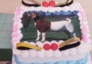 बकरीद निमित्त बकऱ्याचे चित्र असलेला केक - Goat Picture Cake Cut On Bakrid Agra