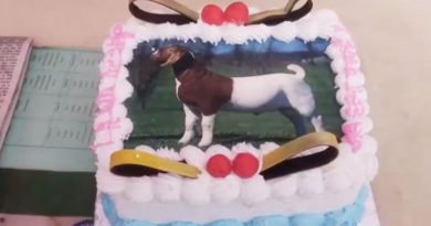 बकरीद निमित्त बकऱ्याचे चित्र असलेला केक - Goat Picture Cake Cut On Bakrid Agra