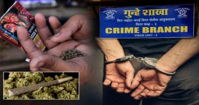 Virar Crime Branch Unit 3 police action representative image with arrested suspect and seized ganja weed stock.