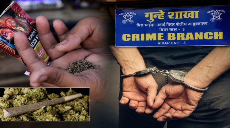 Virar Crime Branch Unit 3 police action representative image with arrested suspect and seized ganja weed stock.