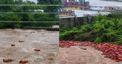 रायगड जिल्ह्यातील पाताळगंगा नदीच्या पुरात वाहून गेलेले ३ हजार गॅस सिलिंडर.